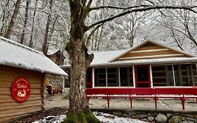 Beary Relaxing Cabin - Rustic With Outdoor Patio