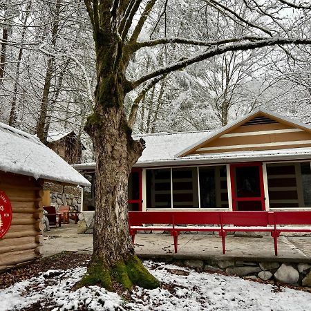 Beary Relaxing Cabin - Rustic With Outdoor Patio Townsend Exterior photo