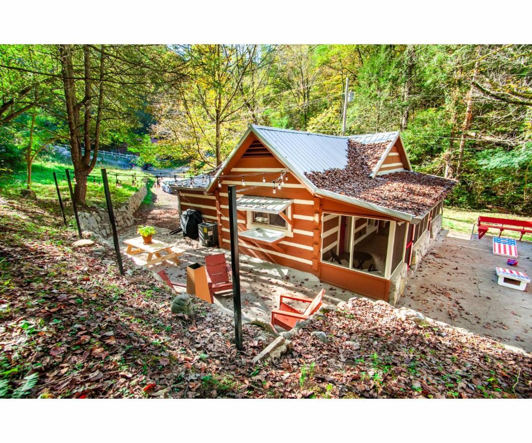 Beary Relaxing Cabin - Rustic With Outdoor Patio Townsend Exterior photo