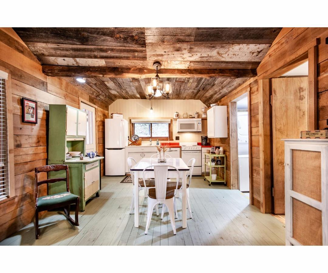 Beary Relaxing Cabin - Rustic With Outdoor Patio Townsend Exterior photo