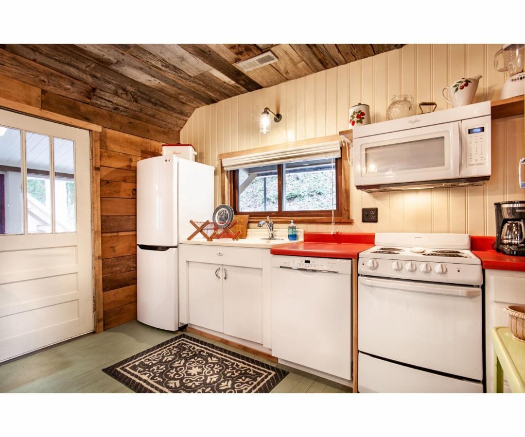 Beary Relaxing Cabin - Rustic With Outdoor Patio Townsend Exterior photo