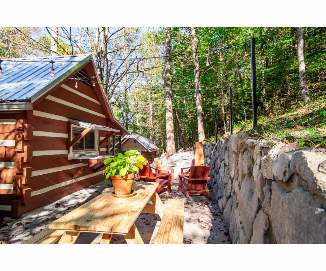 Beary Relaxing Cabin - Rustic With Outdoor Patio Townsend Exterior photo