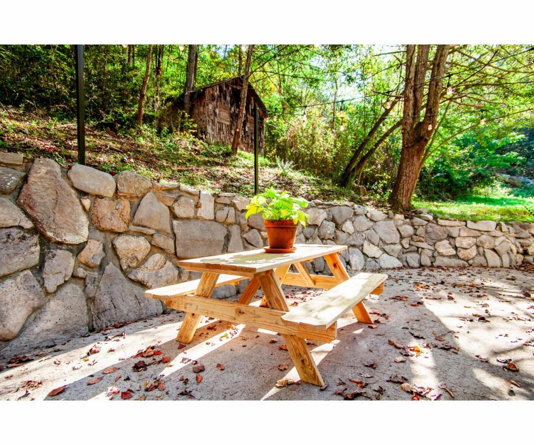 Beary Relaxing Cabin - Rustic With Outdoor Patio Townsend Exterior photo