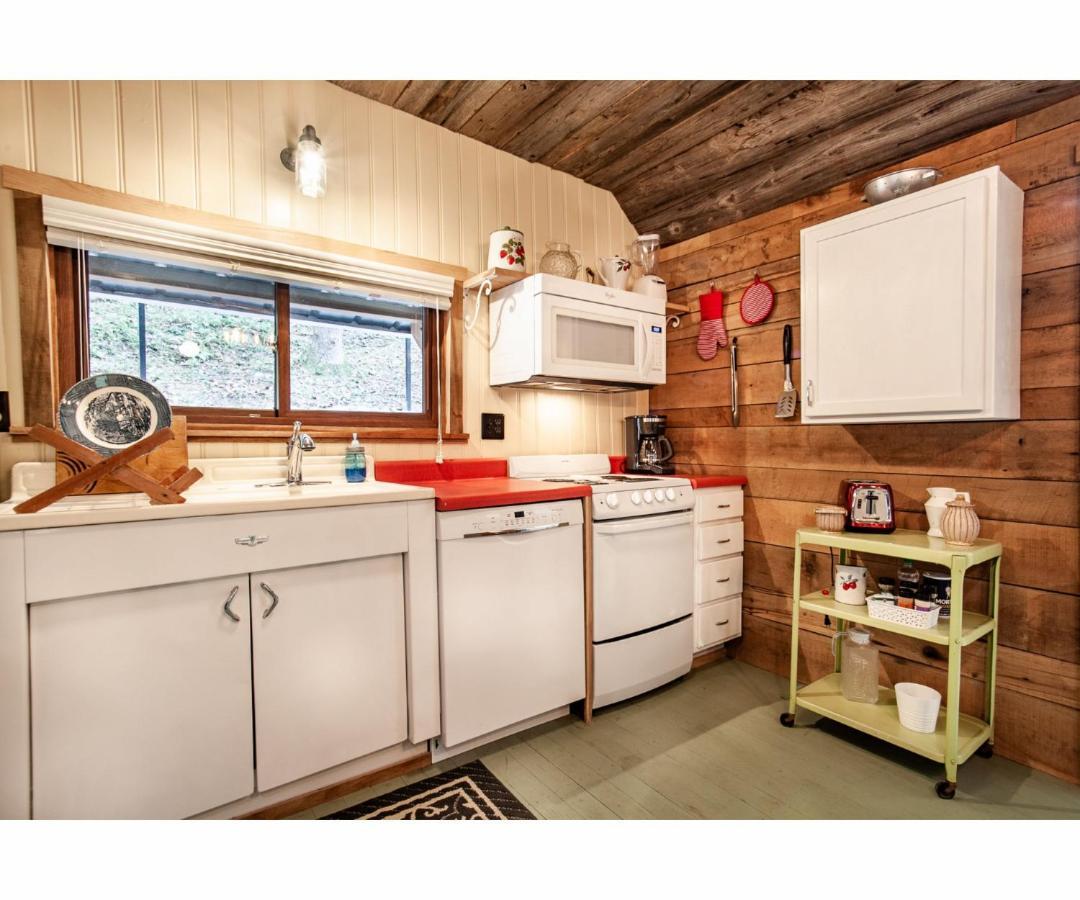Beary Relaxing Cabin - Rustic With Outdoor Patio Townsend Exterior photo