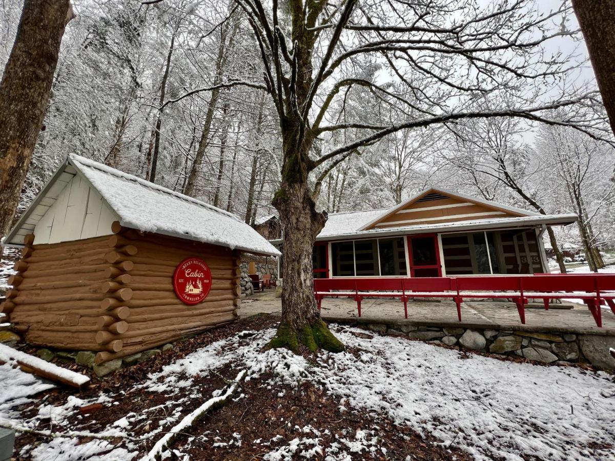Beary Relaxing Cabin - Rustic With Outdoor Patio Townsend Exterior photo